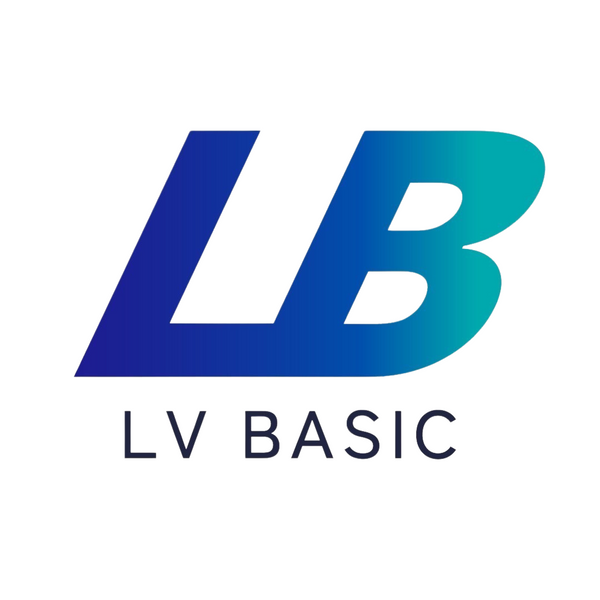 LV BASIC Store